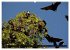 Die Tierwelt in Australien... - Bild 8