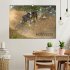 Motocross (Wandkalender 2026 DIN A2... - Bild 2