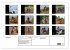 Motocross (Wandkalender 2026 DIN A2... - Bild 6