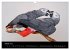 Graupapageien mit Herz (Wandkalender... - Bild 7