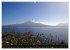 Tanz auf dem Vulkan - Osorno (Chile)... - Bild 8