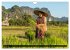Myanmar - Burma (Wandkalender 2026 DIN... - Bild 7