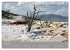 Rocky Mountains 2026 (Tischkalender... - Bild 11