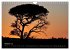 Momente in Südafrika (Wandkalender... - Bild 3