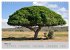 Momente in Südafrika (Wandkalender... - Bild 9