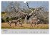 Momente in Südafrika (Wandkalender... - Bild 10