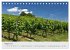 Insel Reichenau - Klosterinsel im... - Bild 14