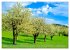 Ein Blick auf Witzenhausen... - Bild 11