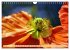 MOHNBLÜTEN (Wandkalender 2026 DIN A4... - Bild 13