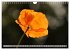 MOHNBLÜTEN (Wandkalender 2026 DIN A4... - Bild 7