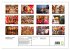 Rajasthan, Indien - Pushkar Mela... - Bild 5