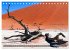 Namibia - Die Landschaft (Tischkalender... - Bild 8