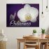 Phalaenopsis - die zauberhafte Welt der... - Bild 2