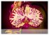 Phalaenopsis - die zauberhafte Welt der... - Bild 15