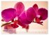Phalaenopsis - die zauberhafte Welt der... - Bild 4