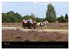 Hansestadt Lüneburg und Lüneburger... - Bild 11