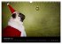 Der MOPS-Kalender (Wandkalender 2026... - Bild 5