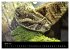 Reptilien 2026 (Wandkalender 2026 DIN... - Bild 10