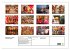 Rajasthan, Indien - Pushkar Mela... - Bild 6