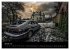 Lost Places - Auch der Verfall hat... - Bild 6