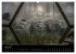 Lost Places - Auch der Verfall hat... - Bild 9