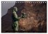 La Gomera - Valle Gran Rey... - Bild 12