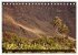 La Gomera - Valle Gran Rey... - Bild 4