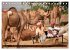 Rajasthan, Indien - Pushkar Mela... - Bild 12