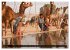 Rajasthan, Indien - Pushkar Mela... - Bild 10