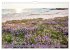 Sardinien Insel mit Meerblick... - Bild 9
