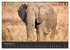 Elefanten - Graue Riesen (Tischkalender... - Bild 4