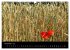 Just Mohn (Wandkalender 2026 DIN A3... - Bild 4