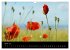 Just Mohn (Wandkalender 2026 DIN A3... - Bild 10