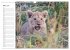 Emotionale Momente: Löwenbabys - so... - Bild 9