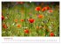 Mohnblumen (hochwertiger Premium... - Bild 4