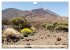 Teneriffa Entspannung Pur (Wandkalender... - Bild 5