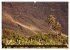 La Gomera - Valle Gran Rey... - Bild 3
