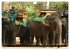 Kambodscha - Angkor Wat (Wandkalender... - Bild 11