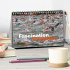 Fascination Triathlon (Tischkalender... - Bild 2