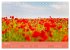 Berg, Land und Meer - Eine Reise durch... - Bild 11