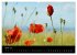 Just Mohn (Wandkalender 2026 DIN A2... - Bild 10