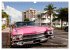 Miami und Florida (Wandkalender 2026... - Bild 15