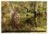 Miami und Florida (hochwertiger Premium... - Bild 12