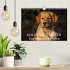 Golden Retriever - Ein Herz auf 4... - Bild 2