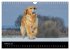 Golden Retriever - Ein Herz auf 4... - Bild 8