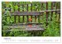 Mein Jahr im Landhausgarten... - Bild 13