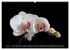 Orchideen 2026 (hochwertiger Premium... - Bild 11