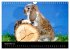 Zwergkaninchen (Wandkalender 2026 DIN... - Bild 15