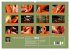 Fotogalerie Fotogalerie