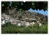 Großer Grieche Kreta (Wandkalender... - Bild 3